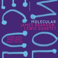 James Brandon Lewis Quartet: Molecular