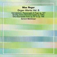 Reger: Organ Works Vol. 6