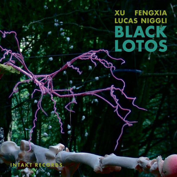 Niggli/Fengxia: Black Lotos